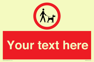 Custom Road regulatory dogs on leads